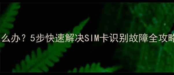 图片 手机不认SIM卡怎么办？5步快速解决SIM卡识别故障全攻略（附图文详解）