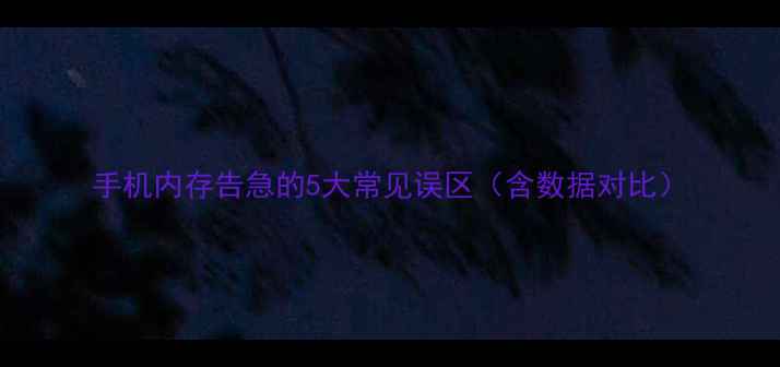 手机内存告急的5大常见误区含数据对比