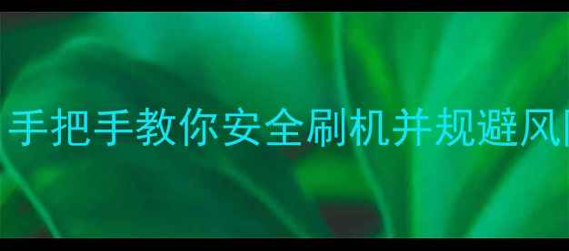 图片 手机刷机全攻略：手把手教你安全刷机并规避风险（附详细教程）