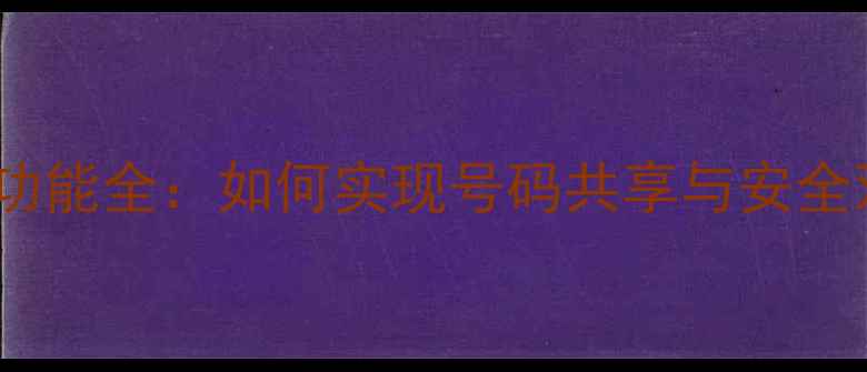 图片 手机副卡功能全：如何实现号码共享与安全双保障？2