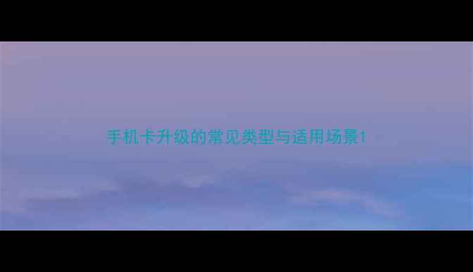 手机卡升级的常见类型与适用场景