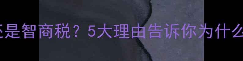 手机壳是必需品还是智商税5大理由告诉你为什么必须选对手机壳