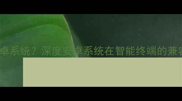图片 手机如何运行安卓系统？深度安卓系统在智能终端的兼容性与创新应用1