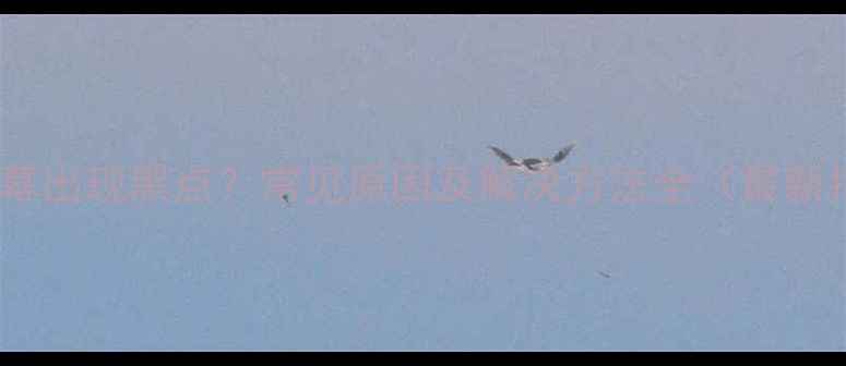 图片 手机屏幕出现黑点？常见原因及解决方法全（最新指南）1