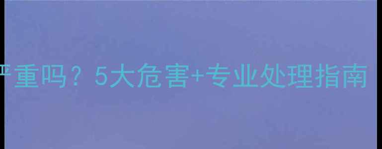 手机屏幕漏液严重吗5大危害专业处理指南附维修成本