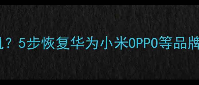 图片 手机无法开机如何快速刷机？5步恢复华为小米OPPO等品牌手机系统（附图文教程）2