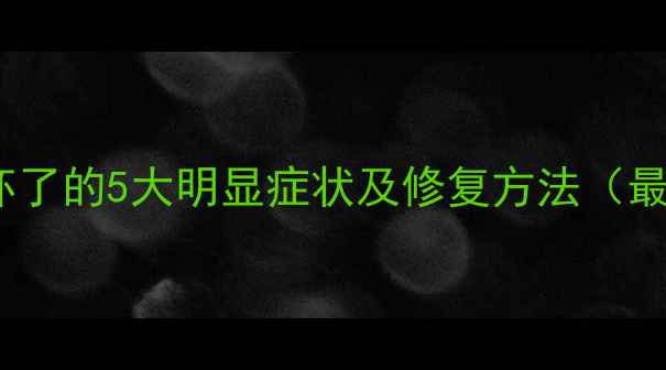 手机电池坏了的5大明显症状及修复方法最新指南