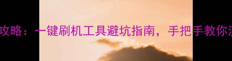 图片 手机系统升级全攻略：一键刷机工具避坑指南，手把手教你流畅运行新系统1