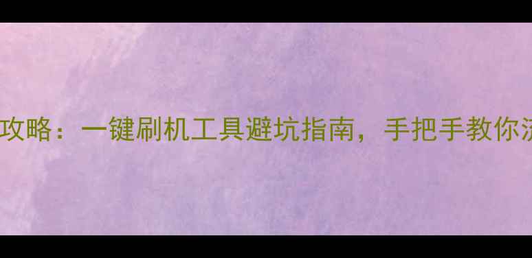 图片 手机系统升级全攻略：一键刷机工具避坑指南，手把手教你流畅运行新系统2