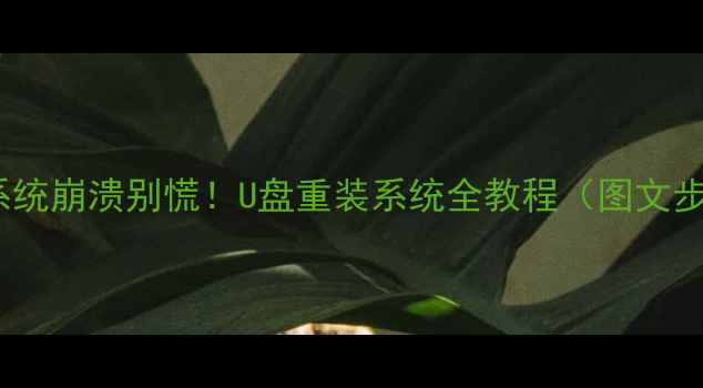 图片 手机系统崩溃别慌！U盘重装系统全教程（图文步骤）1