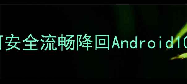 手机系统降级全攻略如何安全流畅降回Android10附详细教程与风险提示