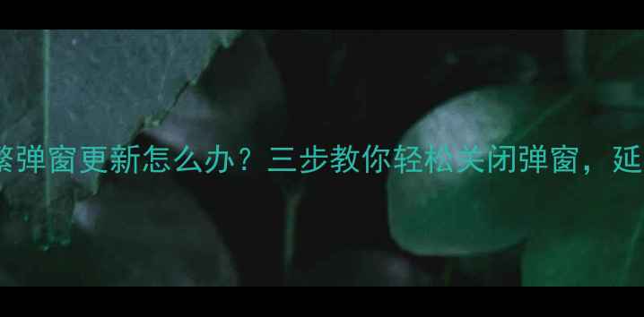 图片 手机系统频繁弹窗更新怎么办？三步教你轻松关闭弹窗，延长手机寿命1