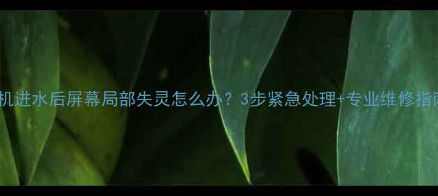 手机进水后屏幕局部失灵怎么办3步紧急处理专业维修指南