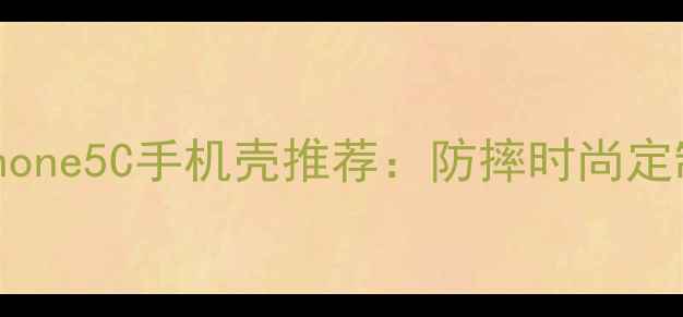 最全iPhone5C手机壳推荐防摔时尚定制款全