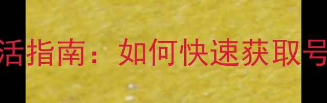 最新iPhoneSIM卡激活指南如何快速获取号码及常见问题解答
