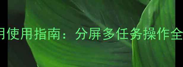图片 最新vivo双应用使用指南：分屏多任务操作全（图文教程）2
