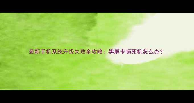 最新手机系统升级失败全攻略黑屏卡顿死机怎么办