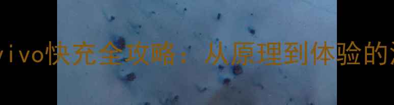 图片 最新技术vivo快充全攻略：从原理到体验的深度指南1