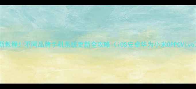 最新教程不同品牌手机系统更新全攻略iOS安卓华为小米OPPOVivo