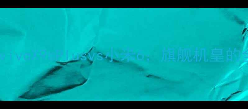 图片 深度对比vivoX9sPlusvs小米6：旗舰机皇的全面性能2