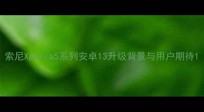 图片 索尼Xperia5系列安卓13升级背景与用户期待1