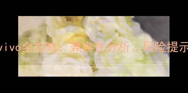 图片 红米1s刷机vivo全攻略：兼容性分析、风险提示与详细教程