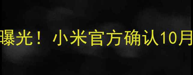 图片 红米4发布时间、价格及配置曝光！小米官方确认10月上市，现在预订享早鸟优惠2