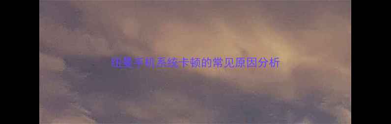 图片 纽曼手机系统卡顿的常见原因分析