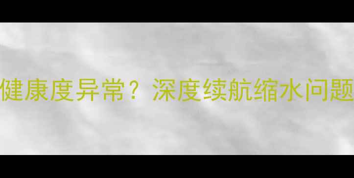 图片 联想P1手机电池健康度异常？深度续航缩水问题及专业修复方案