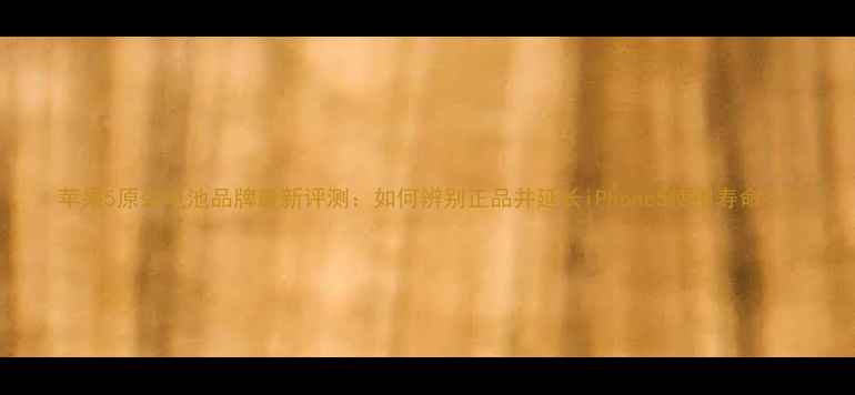 图片 苹果5原装电池品牌最新评测：如何辨别正品并延长iPhone5使用寿命？2