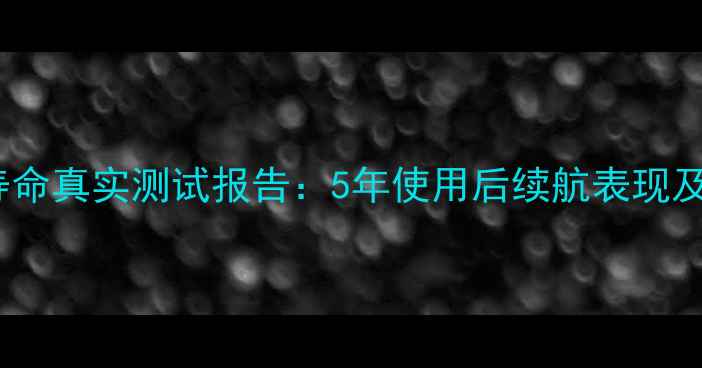 图片 苹果6S电池寿命真实测试报告：5年使用后续航表现及延长技巧全1