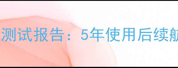 图片 苹果6S电池寿命真实测试报告：5年使用后续航表现及延长技巧全2