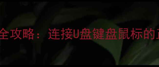 苹果6s开启OTG功能全攻略连接U盘键盘鼠标的正确方法与避坑指南