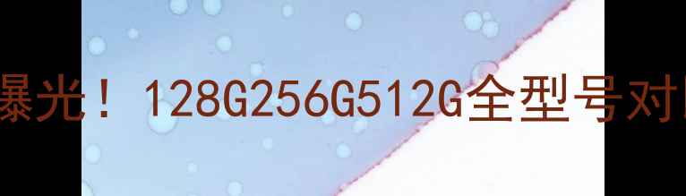 图片 苹果6港版最新价格曝光！128G256G512G全型号对比，看完再买不踩坑