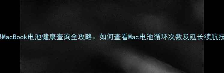 图片 苹果MacBook电池健康查询全攻略：如何查看Mac电池循环次数及延长续航技巧2