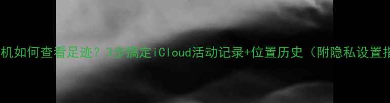 图片 苹果手机如何查看足迹？3步搞定iCloud活动记录+位置历史（附隐私设置指南）2