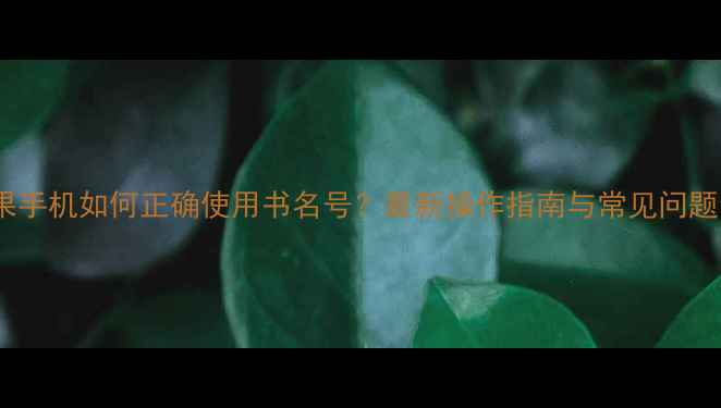 图片 苹果手机如何正确使用书名号？最新操作指南与常见问题全2