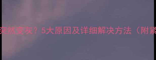 苹果手机屏幕突然变灰5大原因及详细解决方法附紧急处理步骤