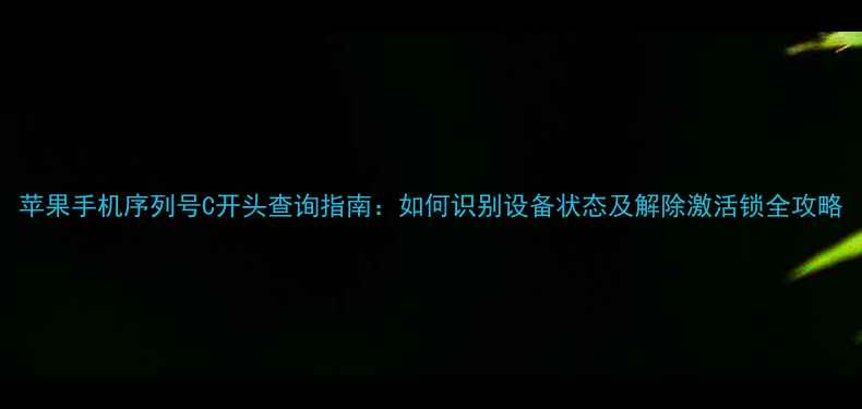 苹果手机序列号C开头查询指南如何识别设备状态及解除激活锁全攻略