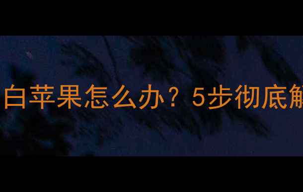 图片 苹果手机开机白苹果怎么办？5步彻底解决系统故障2