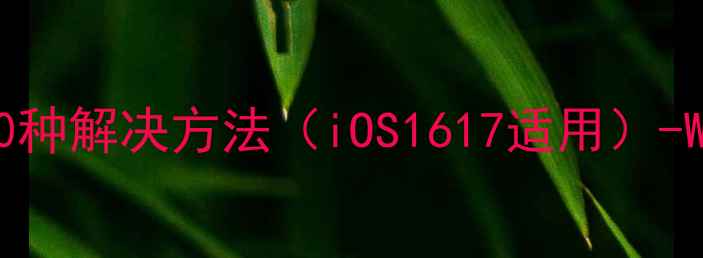 苹果手机无法联网的10种解决方法iOS1617适用-Wi-Fi蜂窝数据全攻略