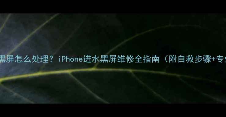 图片 苹果进水屏幕黑屏怎么处理？iPhone进水黑屏维修全指南（附自救步骤+专业维修成本）1