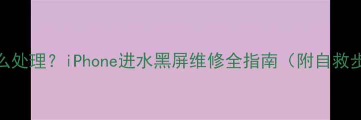 苹果进水屏幕黑屏怎么处理iPhone进水黑屏维修全指南附自救步骤专业维修成本