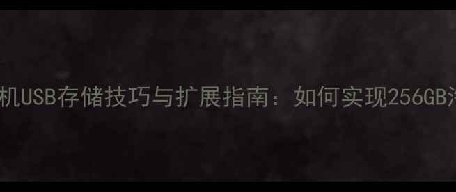 图片 荣耀3C手机USB存储技巧与扩展指南：如何实现256GB海量存储2