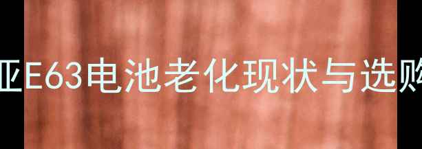 诺基亚E63电池老化现状与选购误区