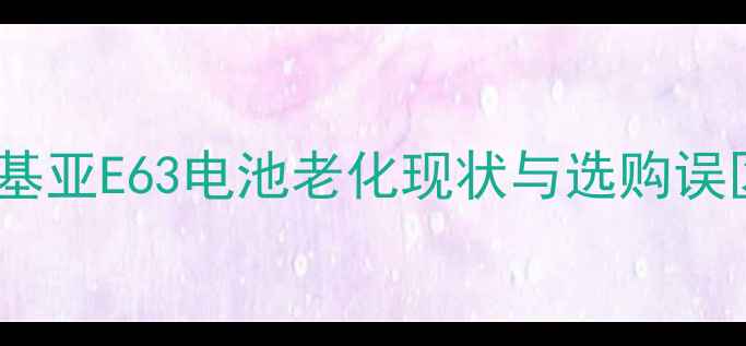 图片 诺基亚E63电池老化现状与选购误区2