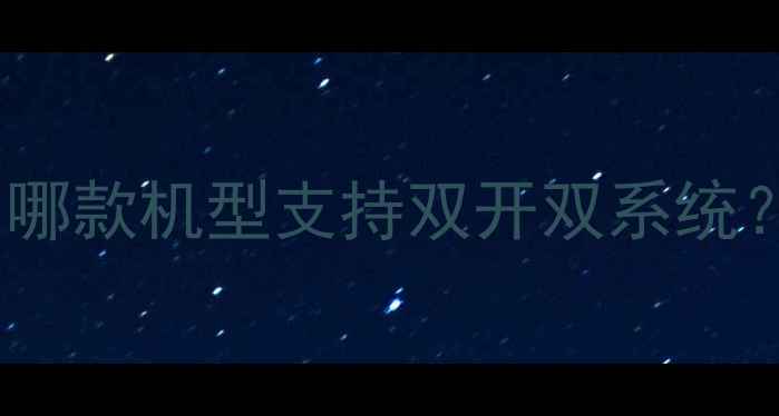 金立双系统手机推荐哪款机型支持双开双系统深度功能与选购指南