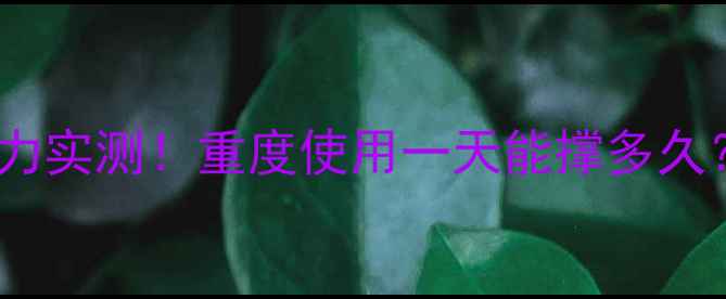 金立手机电池续航能力实测重度使用一天能撑多久充电次数多少次