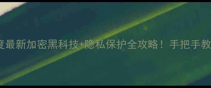 图片 金立手机私密功能深度最新加密黑科技+隐私保护全攻略！手把手教你打造手机安全堡垒2