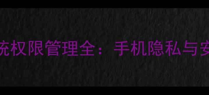 图片 锤子桌面系统权限管理全：手机隐私与安全设置指南